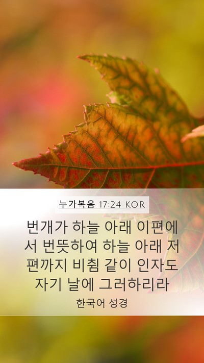 누가복음 17:24 KOR Bible Verse Image