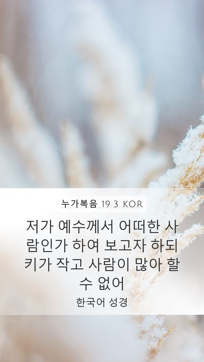 누가복음 19:3 KOR Mobile Phone Wallpaper - 저가 예수께서 어떠한 사람인가 하여 - Mobile Bible Verse Wallpaper