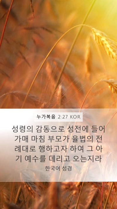 누가복음 2:27 KOR Mobile Phone Wallpaper - 성령의 감동으로 성전에 들어가매 - Mobile Bible Verse Wallpaper
