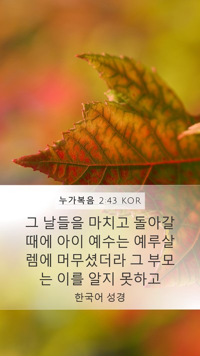 누가복음 2:43 KOR Mobile Phone Wallpaper - 그 날들을 마치고 돌아갈 때에 아이 - Mobile Bible Verse Wallpaper