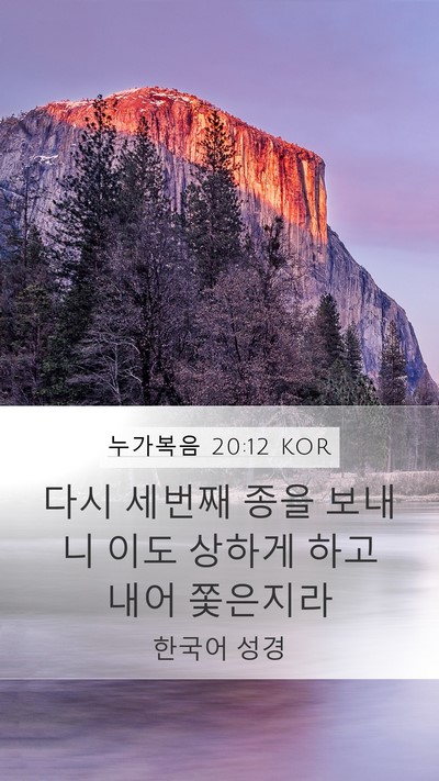누가복음 20:12 KOR Bible Verse Image