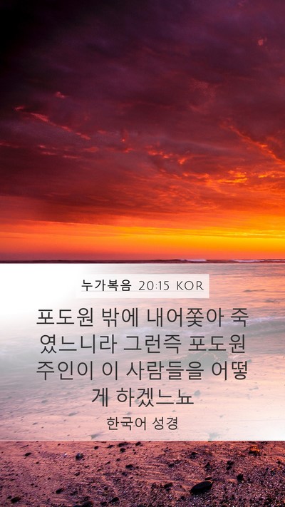 누가복음 20:15 KOR Bible Verse Image