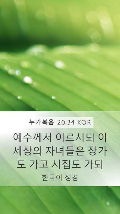 누가복음 20:34 KOR Bible Verse Image