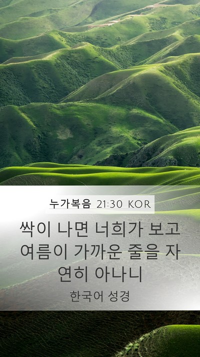 누가복음 21:30 KOR Mobile Phone Wallpaper - 싹이 나면 너희가 보고 여름이 - Mobile Bible Verse Wallpaper