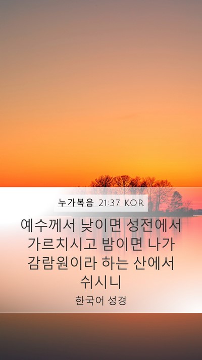 누가복음 21:37 KOR Bible Verse Image