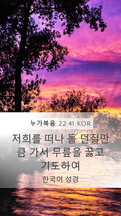 누가복음 22:41 KOR Mobile Phone Wallpaper - 저희를 떠나 돌 던질만큼 가서 - Mobile Bible Verse Wallpaper