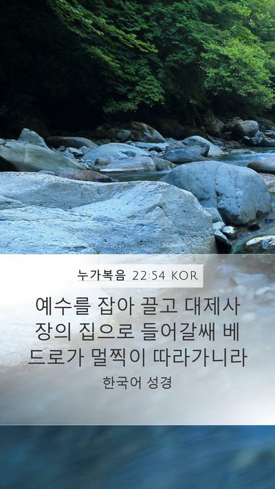 누가복음 22:54 KOR Bible Verse Image