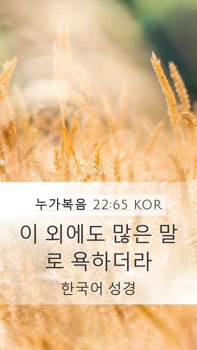 누가복음 22:65 KOR Mobile Phone Wallpaper - 이 외에도 많은 말로 - Mobile Bible Verse Wallpaper