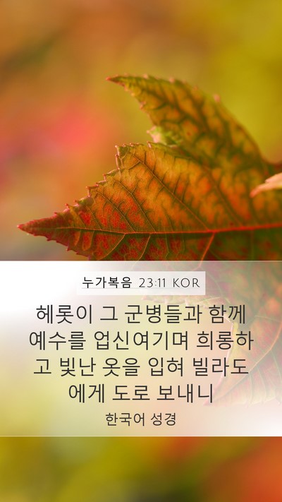 누가복음 23:11 KOR Bible Verse Image