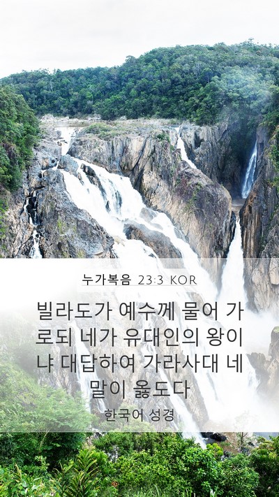 누가복음 23:3 KOR Mobile Phone Wallpaper - 빌라도가 예수께 물어 가로되 네가 - Mobile Bible Verse Wallpaper