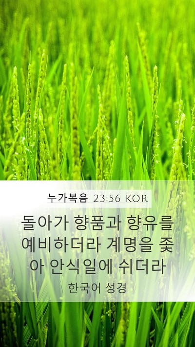 누가복음 23:56 KOR Bible Verse Image