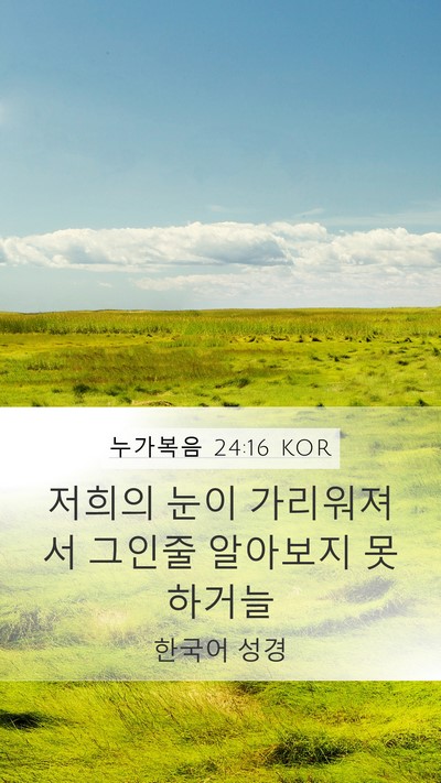 누가복음 24:16 KOR Mobile Phone Wallpaper - 저희의 눈이 가리워져서 그인줄 - Mobile Bible Verse Wallpaper