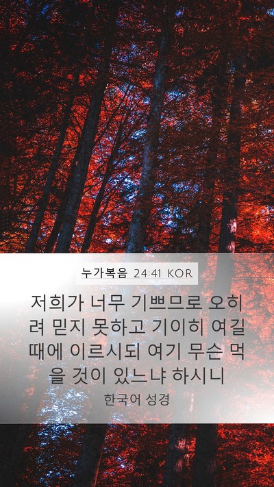 누가복음 24:41 KOR Bible Verse Image