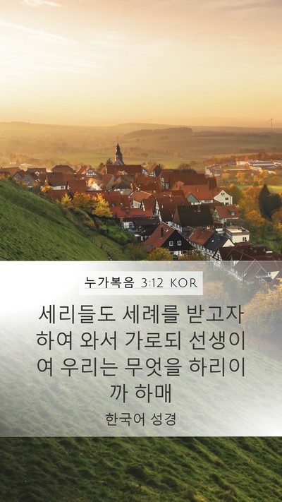 누가복음 3:12 KOR Bible Verse Image