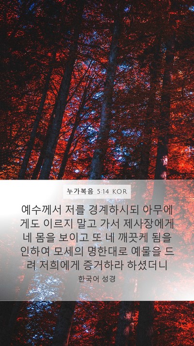 누가복음 5:14 KOR Bible Verse Image