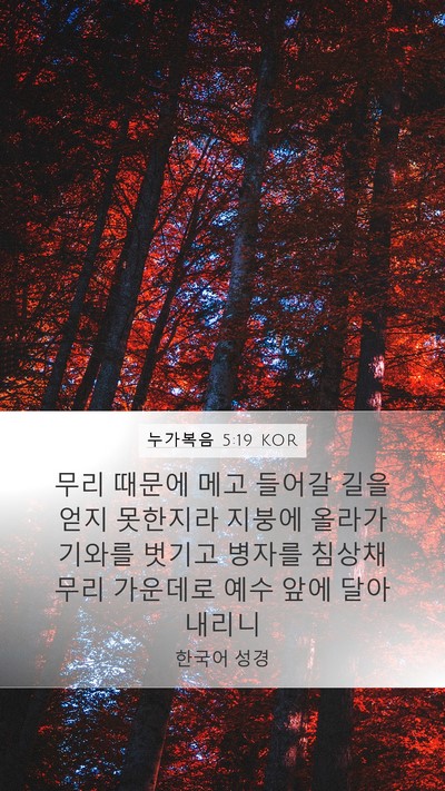 누가복음 5:19 KOR Bible Verse Image
