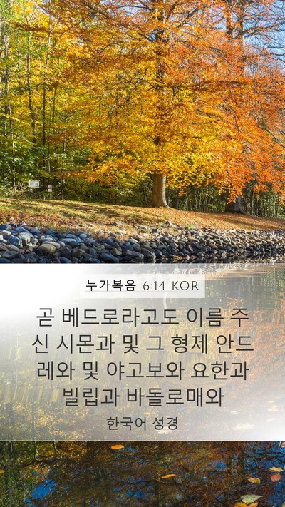 누가복음 6:14 KOR Bible Verse Image