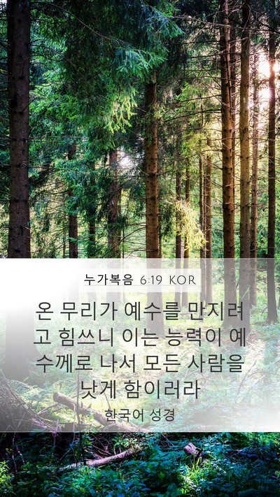 누가복음 6:19 KOR Bible Verse Image