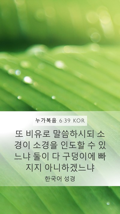 누가복음 6:39 KOR Mobile Phone Wallpaper - 또 비유로 말씀하시되 소경이 소경을 - Mobile Bible Verse Wallpaper
