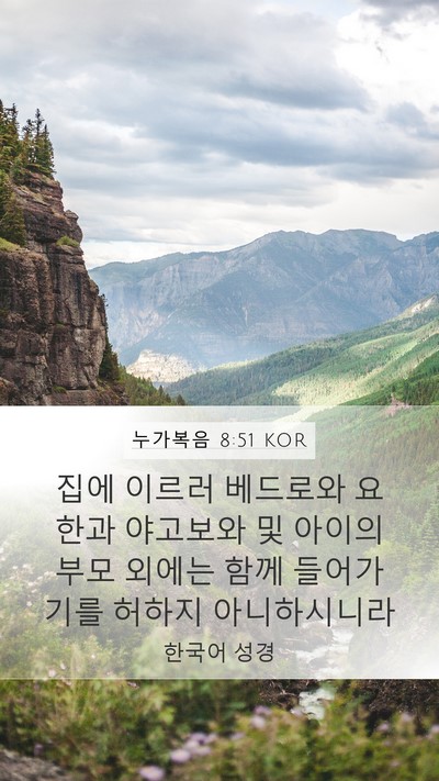 누가복음 8:51 KOR Bible Verse Image