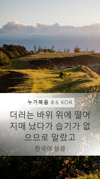 누가복음 8:6 KOR Mobile Phone Wallpaper - 더러는 바위 위에 떨어지매 났다가 - Mobile Bible Verse Wallpaper