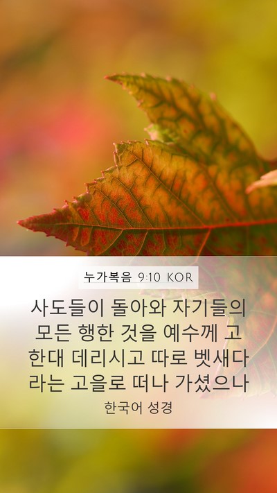 누가복음 9:10 KOR Bible Verse Image
