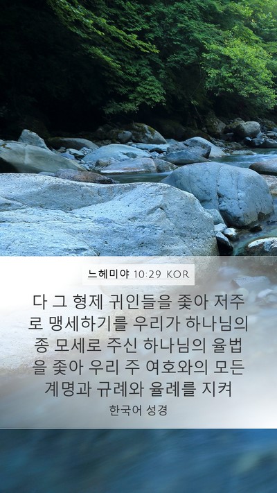 느헤미야 10:29 KOR Bible Verse Image