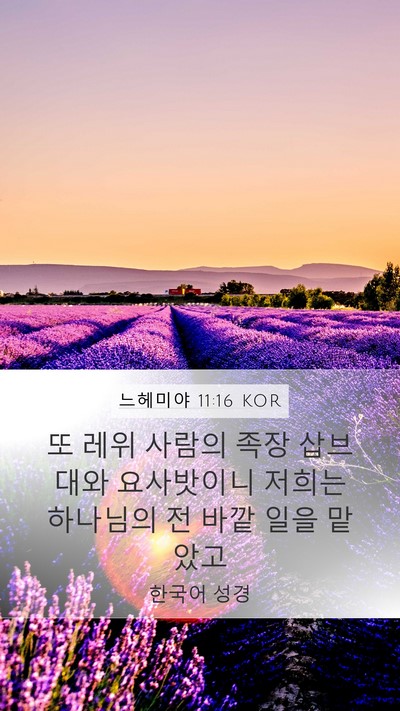 느헤미야 11:16 KOR Bible Verse Image