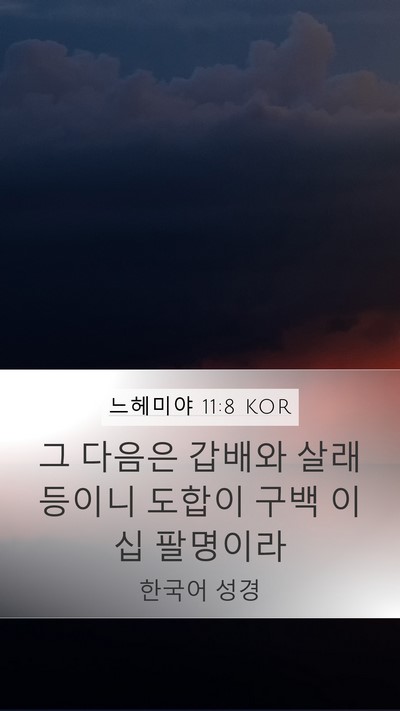 느헤미야 11:8 KOR Mobile Phone Wallpaper - 그 다음은 갑배와 살래 등이니 - Mobile Bible Verse Wallpaper