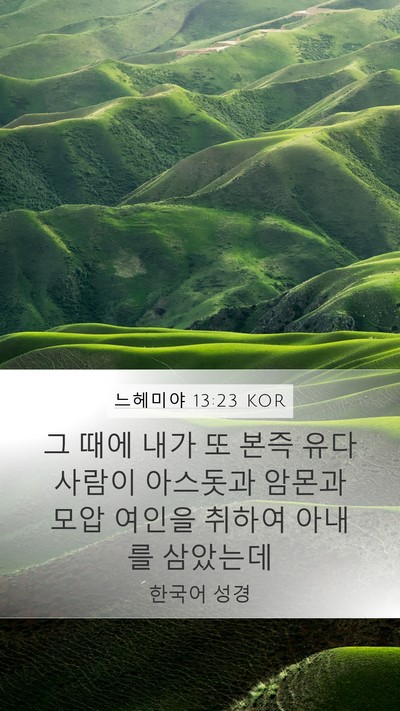 느헤미야 13:23 KOR Bible Verse Image
