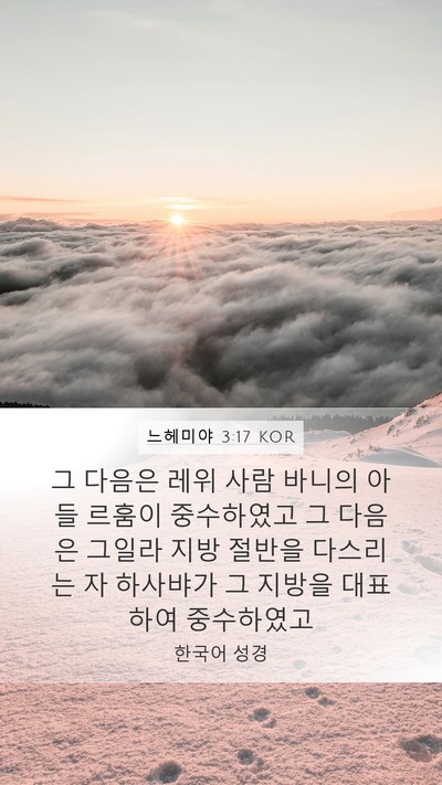 느헤미야 3:17 KOR Bible Verse Image