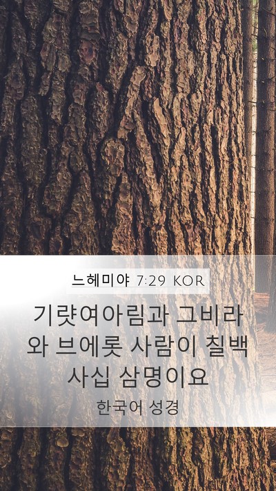 느헤미야 7:29 KOR Bible Verse Image
