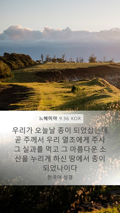 느헤미야 9:36 KOR Bible Verse Image