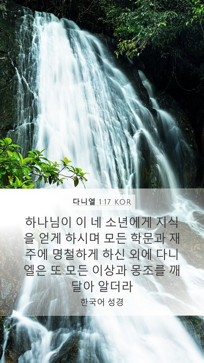 다니엘 1:17 KOR Bible Verse Image