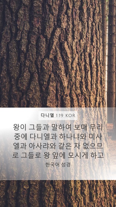 다니엘 1:19 KOR Bible Verse Image