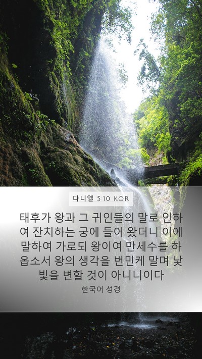 다니엘 5:10 KOR Bible Verse Image