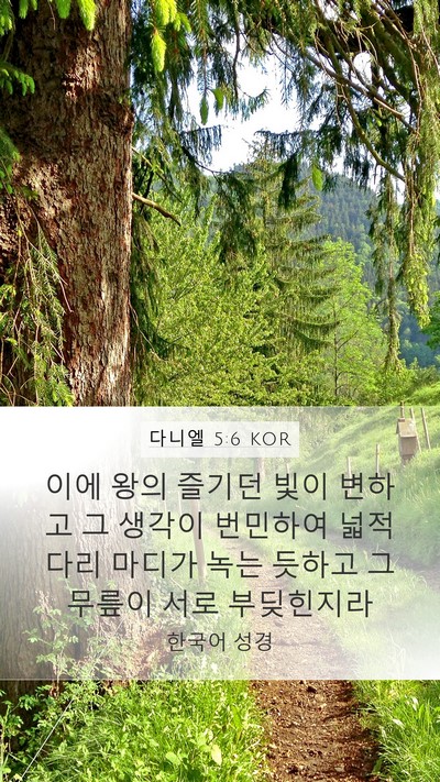 다니엘 5:6 KOR Bible Verse Image