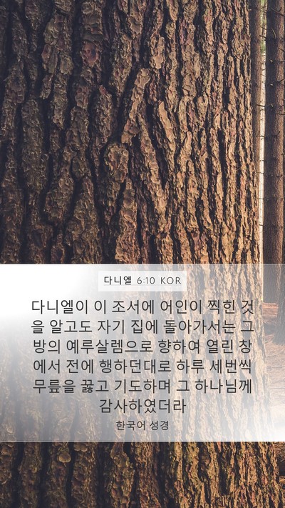 다니엘 6:10 KOR Bible Verse Image