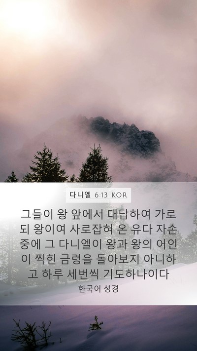 다니엘 6:13 KOR Bible Verse Image