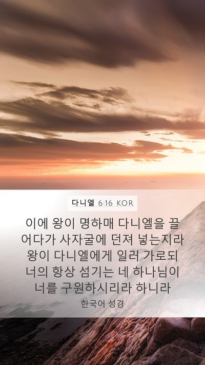 다니엘 6:16 KOR Bible Verse Image