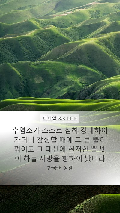 다니엘 8:8 KOR Bible Verse Image