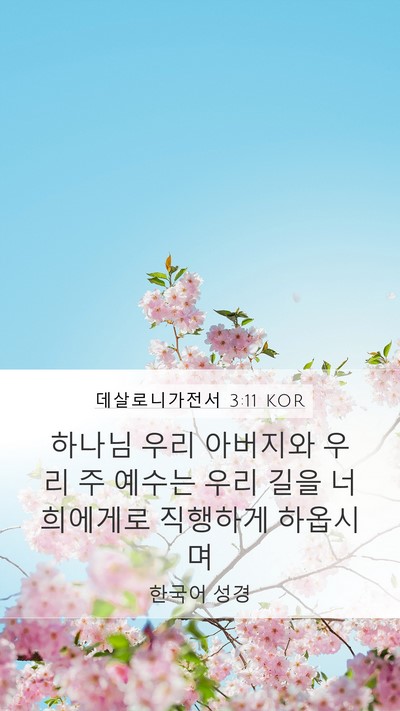 데살로니가전서 3:11 KOR Bible Verse Image