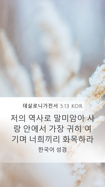 데살로니가전서 5:13 KOR Bible Verse Image