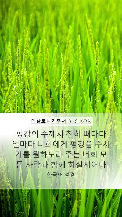 데살로니가후서 3:16 KOR Bible Verse Image