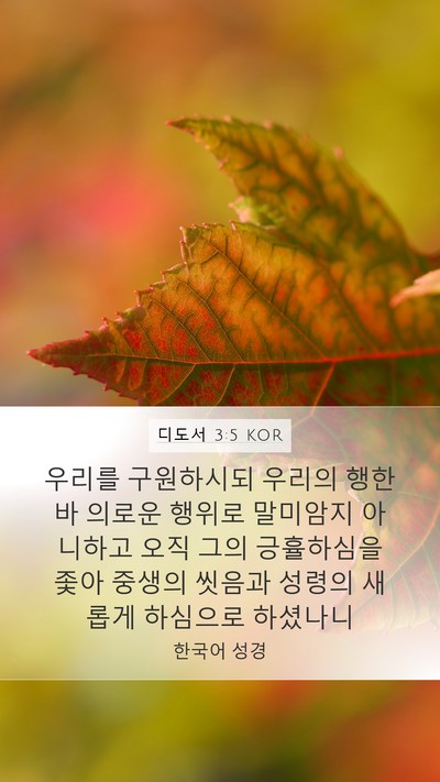 디도서 3:5 KOR Bible Verse Image