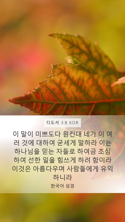 디도서 3:8 KOR Bible Verse Image
