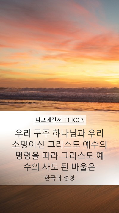 디모데전서 1:1 KOR Bible Verse Image