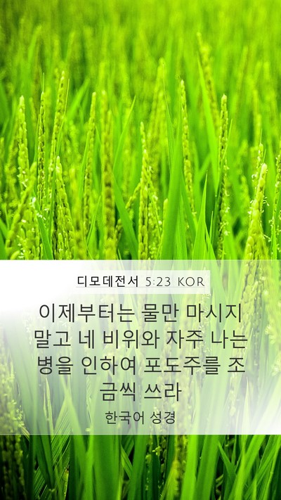 디모데전서 5:23 KOR Bible Verse Image