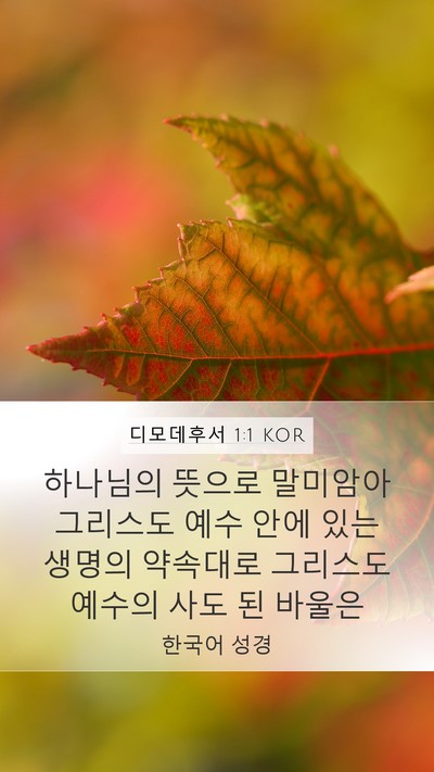 디모데후서 1:1 KOR Bible Verse Image
