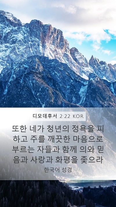 디모데후서 2:22 KOR Bible Verse Image